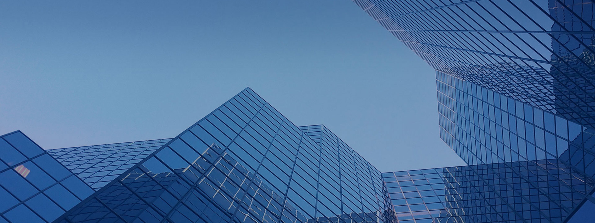 Yangqi Group Co., Limited 